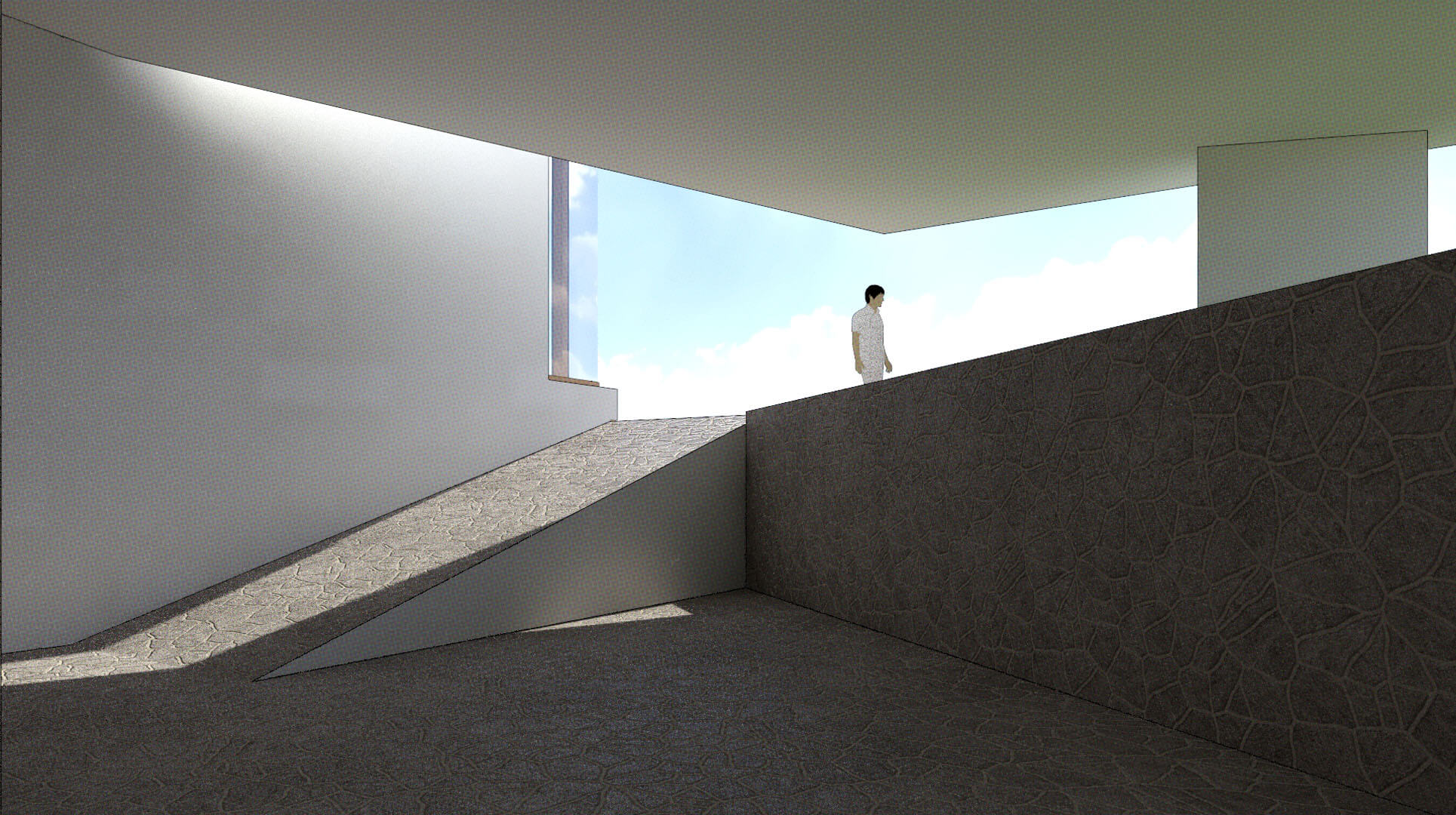 Sugerente fotografía del atrio de la casa patio pabellón, diseñada por HGSE arquitectos en Caracas