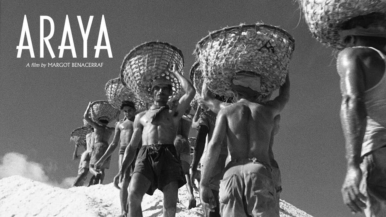 Cartel promocional del documental "Araya" dirigido por Margot Benacerraf